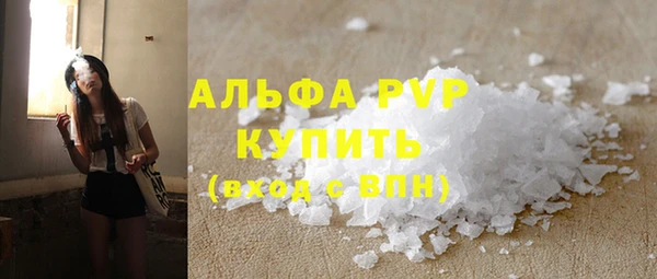 крисы Козловка