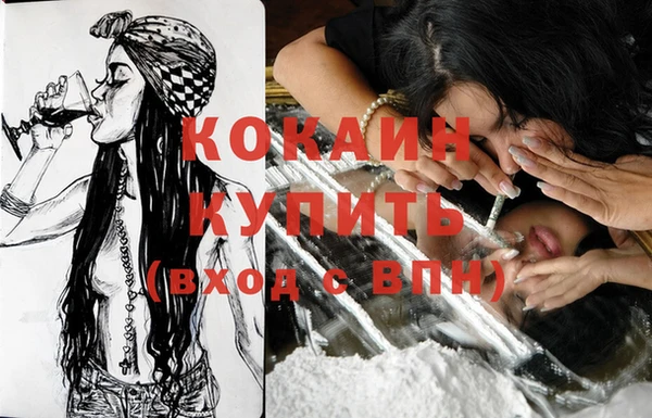 гашик Козельск