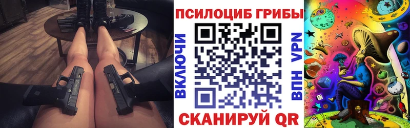 Псилоцибиновые грибы Psilocybe  Ковдор 