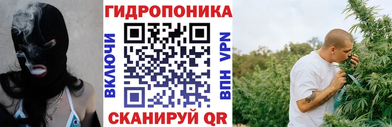 Конопля THC 21%  мега зеркало  shop какой сайт  Ковдор 